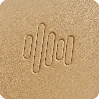 Headphone Detail